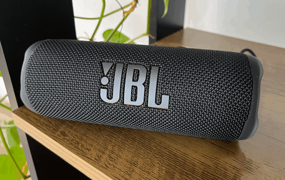 JBL Flip 6